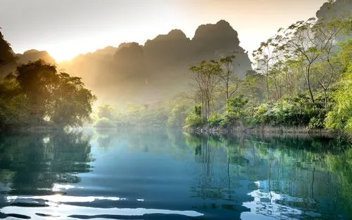 高效高标准